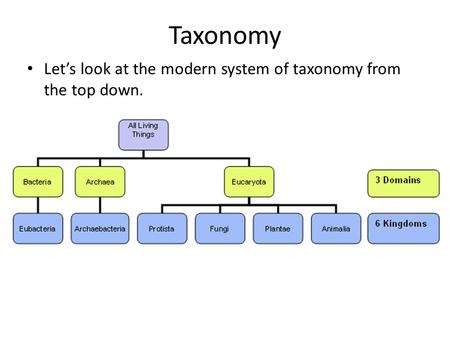 Taxonomy Let’s look at the modern system of taxonomy from the top down.