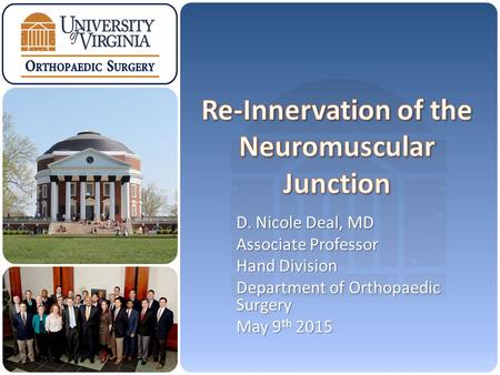 D. Nicole Deal, MD Associate Professor Hand Division Department of Orthopaedic Surgery May 9 th 2015.
