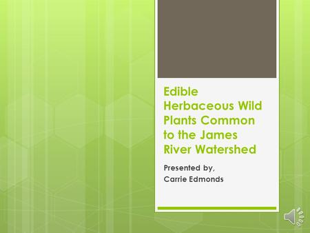 Edible Herbaceous Wild Plants Common to the James River Watershed Presented by, Carrie Edmonds.