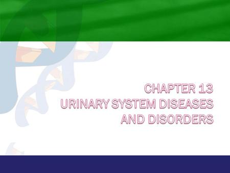 Chapter 13 Urinary System Diseases and Disorders