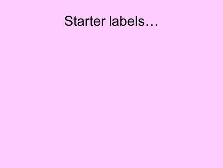 Starter labels…. 1 2 3 4 5 6 7 8 9 10 11 12 13.