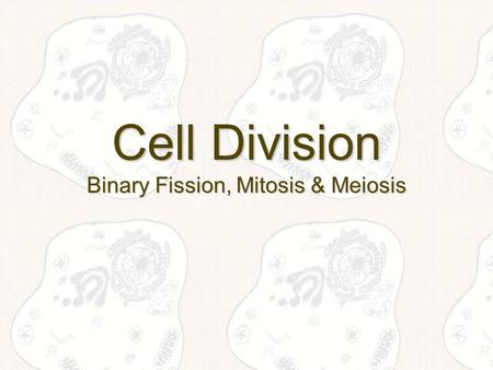 Cell Division Binary Fission, Mitosis & Meiosis. Binary Fission Most cells reproduce through some sort of Cell DivisionMost cells reproduce through some.