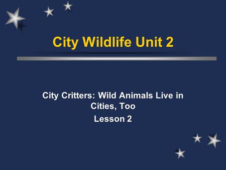 City Critters: Wild Animals Live in Cities, Too Lesson 2