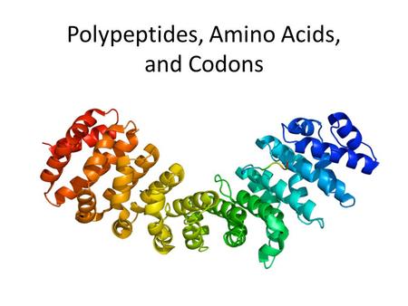 Polypeptides, Amino Acids, and Codons. Prefixes, Suffixes and Vocabulary Poly = many Peptide bond =bond between two amino acids. Anti = against, opposite.