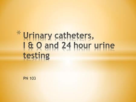 Urinary catheters, I & O and 24 hour urine testing