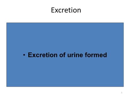 Excretion of urine formed