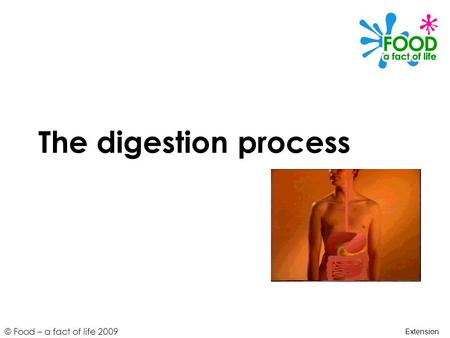 The digestion process Extension.