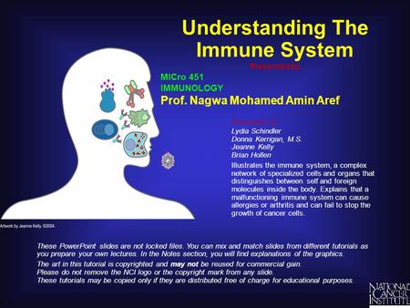 Understanding The Immune System