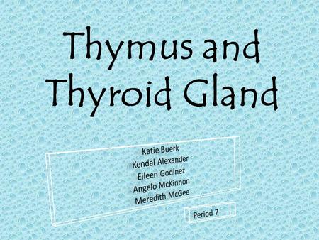 Thymus and Thyroid Gland. Location  Thyroid-located in the neck  Thymus-located behind the sternum.