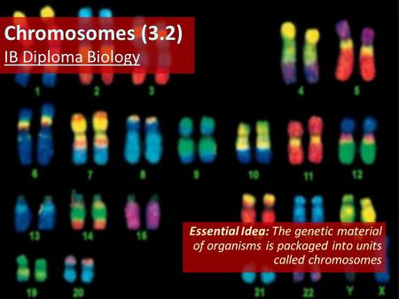 Chromosomes (3.2) IB Diploma Biology
