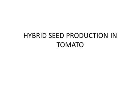 HYBRID SEED PRODUCTION IN TOMATO. CLIMATE Grows best in the warm and dry season Day temperature 21-25°C Night temperature of 15-20°C Temperature ˃ 30°C.