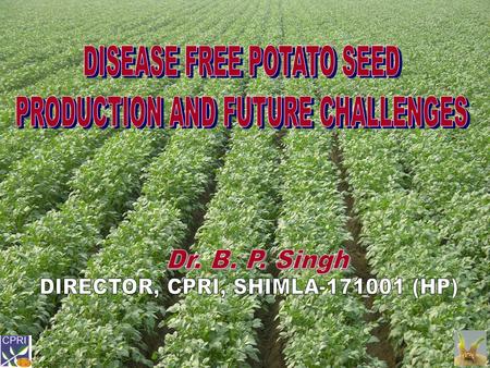 POTATO SEED It should have proper size (40-60 g) Should be free from all viral diseases Should not have been grown in areas where wart, cyst nematode.