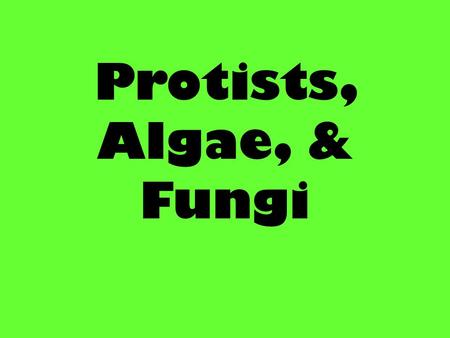 Protists, Algae, & Fungi. Plantlike Protists Have you ever seen seaweed at the beach ? Most commonly called algae Algae: plant-like protists, are autotrophs.