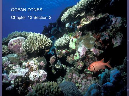OCEAN ZONES Chapter 13 Section 2 Ocean Zones Chapter 13 Section 3.