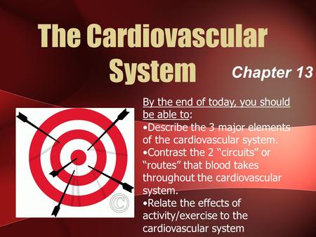 The Cardiovascular System Chapter 13 By the end of today, you should be able to: Describe the 3 major elements of the cardiovascular system. Contrast the.