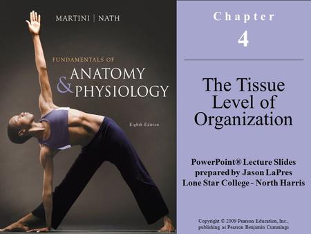 CLE 3251.1.2 Investigate the interrelationship between the structures and functions of the main body systems C h a p t e r 4 The Tissue Level of Organization.