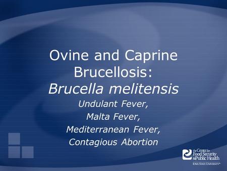 Ovine and Caprine Brucellosis: Brucella melitensis Undulant Fever, Malta Fever, Mediterranean Fever, Contagious Abortion.