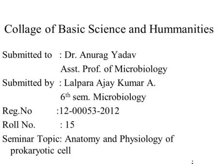 Collage of Basic Science and Hummanities