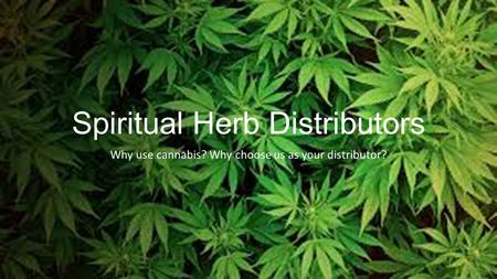 Spiritual Herb Distributors