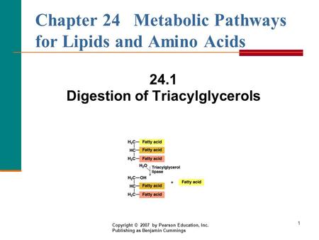 Chapter 24 Metabolic Pathways for Lipids and Amino Acids