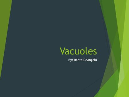 Vacuoles By: Dante DeAngelo. Structure There's a membrane that surrounds a mass fluid. Vacuoles are larger in plant cells than animal cells. The cell.