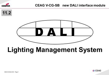 NSE IS 05.02.2010 Page 1 CEAG V-CG-SB new DALI interface module Lighting Management System D A L I 11.2.