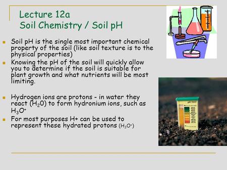 Lecture 12a Soil Chemistry / Soil pH Soil pH is the single most important chemical property of the soil (like soil texture is to the physical properties)
