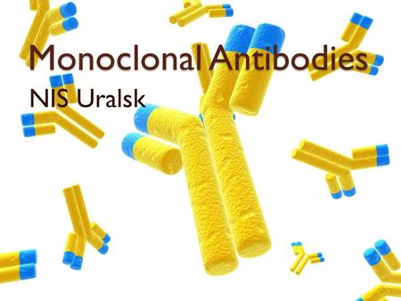 Monoclonal Antibodies NIS Uralsk. Medical use of Antibodies Monoclonal antibodies (mAbs) are pure, single antibody types that are industrially produced.