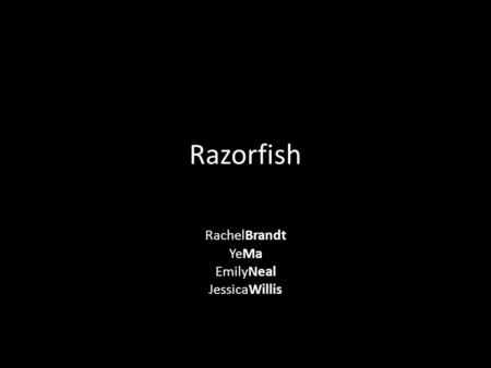 Razorfish RachelBrandt YeMa EmilyNeal JessicaWillis.