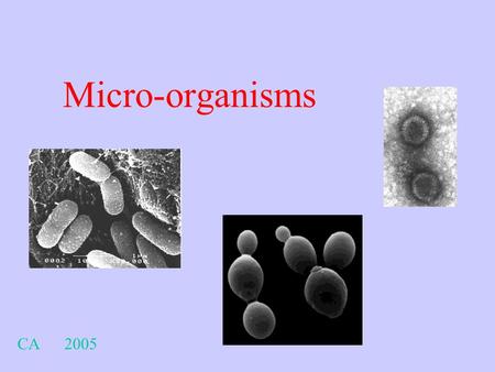 Micro-organisms CA 2005.