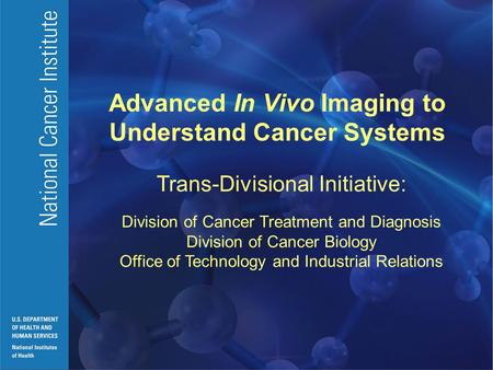 Advanced In Vivo Imaging to Understand Cancer Systems Trans-Divisional Initiative: Division of Cancer Treatment and Diagnosis Division of Cancer Biology.
