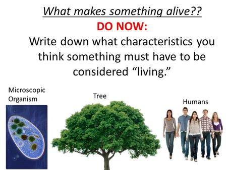 What makes something alive??