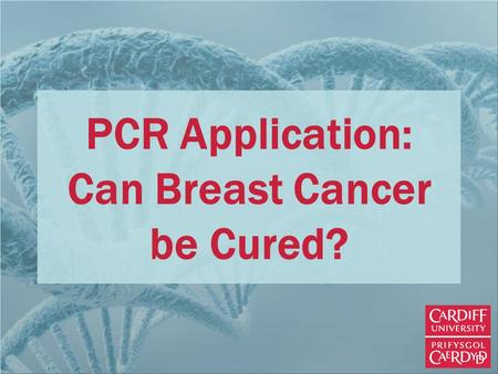 PCR Application: Can Breast Cancer be Cured?. Normal, Healthy Cells Cells can change or differentiate to become specialised according to the tissue that.