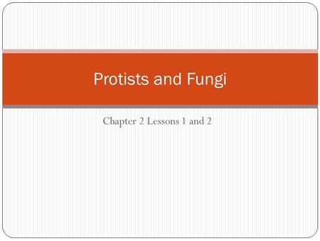 Protists and Fungi Chapter 2 Lessons 1 and 2.