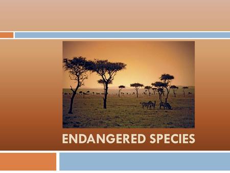 Endangered species.