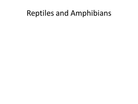 Reptiles and Amphibians. Turtle’s Characteristics Habitats: Aquatic and Terrestrial Species Feeding Habits: Aquatic are meat eaters Land are grazers feeding.