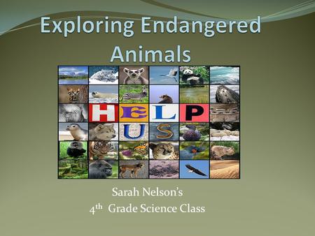Sarah Nelson’s 4 th Grade Science Class.  /endanger/_tourlaunch1.htm.