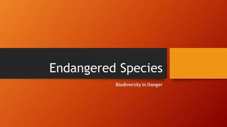 Endangered Species Biodiversity in Danger. Important Vocabulary Biodiversity the diversity, or variety, of plants and animals and other living things.