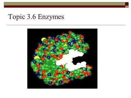 Topic 3.6 Enzymes. Define enzyme and active site  Enzyme – protein catalysts that speed up the rate of chemical reactions  Active Site - part of an.