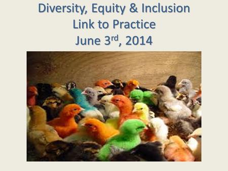 Diversity, Equity & Inclusion Link to Practice June 3rd, 2014