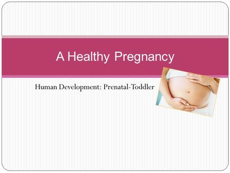 Human Development: Prenatal-Toddler