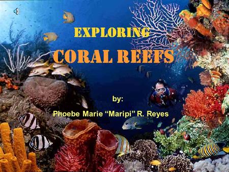 EXPLORING CORAL REEFS Phoebe Marie “Maripi” R. Reyes by: