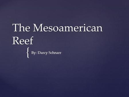 { The Mesoamerican Reef By: Darcy Schnarr.  The Mesoamerican Reef is a coral reef that runs over 900 km along the coast of Mexico, Belize and Honduras.