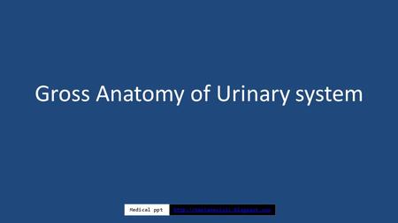 Gross Anatomy of Urinary system