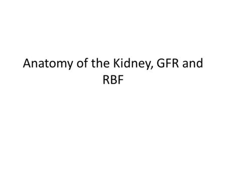 Anatomy of the Kidney, GFR and RBF. Learning Objectives Know the basic anatomy of the kidney and nephron. Know how urine is transported to the bladder.