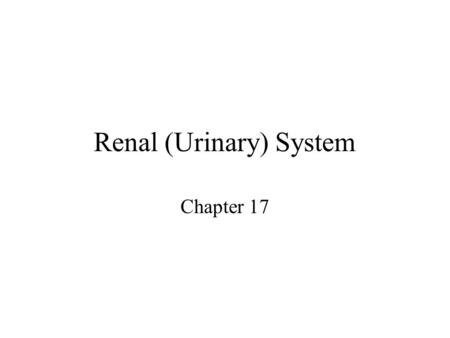 Renal (Urinary) System