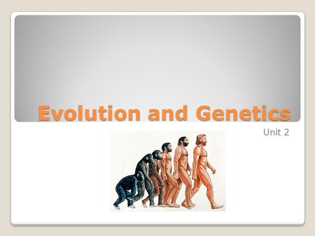 Evolution and Genetics