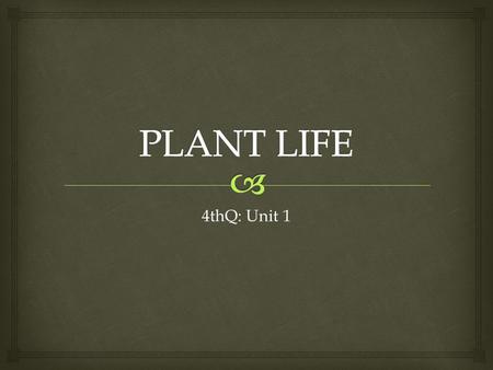 PLANT LIFE 4thQ: Unit 1.