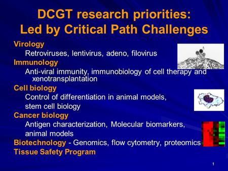 1 DCGT research priorities: Led by Critical Path Challenges Virology Retroviruses, lentivirus, adeno, filovirus Immunology Anti-viral immunity, immunobiology.
