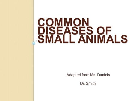 Common Diseases of Small Animals